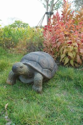 Show full view: Hi-Line Gift Turtle Statue, 21-in slide 6 of 7