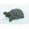 Show in main carousel: Hi-Line Gift Turtle Statue, 21-in slide 2 of 7
