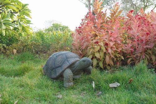 Show full view: Hi-Line Gift Turtle Statue, 21-in slide 3 of 7