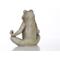 Show in main carousel: Hi-Line Gift Frog Sitting in Lotus Position Statue, 12.25-in slide 8 of 9