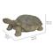 Show in main carousel: Hi-Line Gift Turtle Statue, 30-in slide 6 of 6