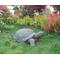 Show in main carousel: Hi-Line Gift Turtle Statue, 30-in slide 4 of 6