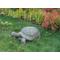 Show in main carousel: Hi-Line Gift Turtle Statue, 30-in slide 3 of 6