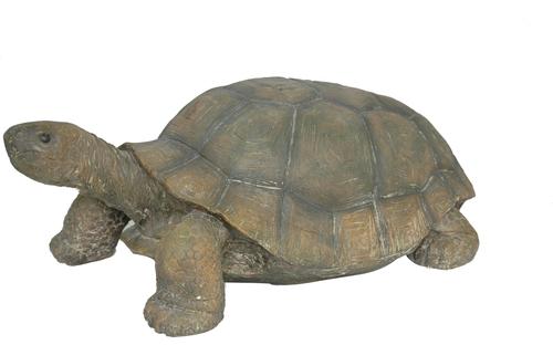 Show full view: Hi-Line Gift Turtle Statue, 30-in slide 2 of 6