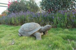 Hi-Line Gift Turtle Statue, 30-in