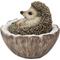 Show in main carousel: Hi-Line Gift Coconut Hedgehog Statue, 3.94-in slide 3 of 8