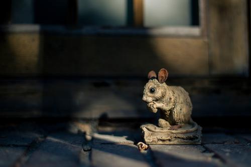 Show full view: Hi-Line Gift Mouse-Driftwood Look Statue, 3.58-in slide 8 of 9
