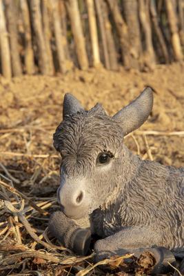 Show full view: Hi-Line Gift Medium Donkey Foal Lying Down Statue, Gray, 7.4-in slide 7 of 9