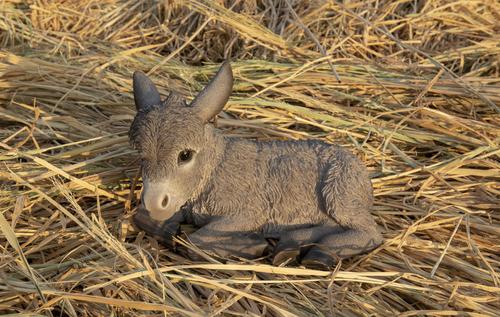 Show full view: Hi-Line Gift Medium Donkey Foal Lying Down Statue, Gray, 7.4-in slide 6 of 9