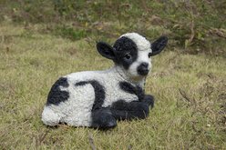 Hi-Line Gift Baby Lamb Lying Down Statue, Black & White, 6-in