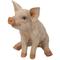 Show in main carousel: Hi-Line Gift Sitting Pig Statue, Pink, 12-in slide 5 of 6