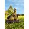 Show in main carousel: Hi-Line Gift Playful Ducklings Garden Statue, Yellow, Black, 5-in slide 1 of 9