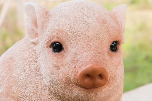 Show full view: Hi-Line Gift Chubby Piglet Sitting Statue, 4.57-in slide 6 of 8