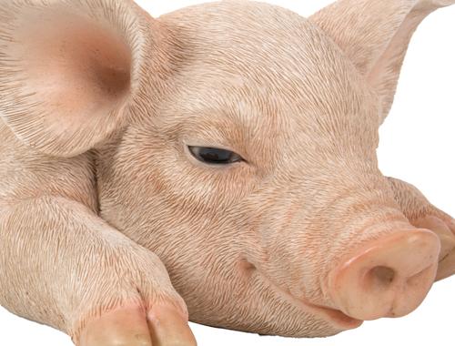 Show full view: Hi-Line Gift Pig Sleeping Statue, 3.75-in slide 6 of 7