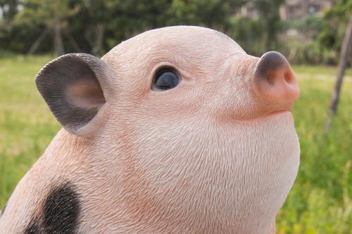 Show full view: Hi-Line Gift Chubby Piglet Sitting Statue, Pink with Black Spots, 5.31-in slide 6 of 8