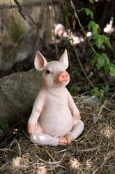 Hi-Line Gift Pig in Meditation Statue, 12.99-in