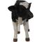 Show in main carousel: Hi-Line Gift Standing Cow Statue, Black & White, 16.5-in slide 3 of 7