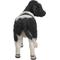 Show in main carousel: Hi-Line Gift Standing Cow Statue, Black & White, 7-in slide 4 of 6