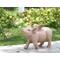 Show in main carousel: Hi-Line Gift Pig with Wings Walking Statue, 8.5-in slide 1 of 9