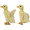 Show in main carousel: Hi-Line Gift Ducklings Statue, 4.53-in slide 4 of 9
