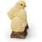 Show in main carousel: Hi-Line Gift Playful Chicks Garden Statue, 4.92-in slide 3 of 7