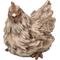 Show in main carousel: Hi-Line Gift Driftwood Squatting Hen Statue, 7.48-in slide 2 of 9