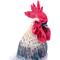 Show in main carousel: Hi-Line Gift Black & White Rooster Statue, 24-in slide 2 of 5