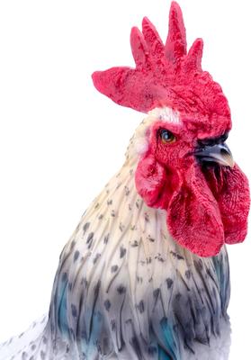 Show full view: Hi-Line Gift Black & White Rooster Statue, 24-in slide 2 of 5