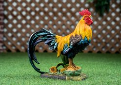 Hi-Line Gift Rooster Standing on Corn Statue, 13.75-in