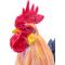 Show in main carousel: Hi-Line Gift Rooster Statue, Multicolored, 24-in slide 2 of 3
