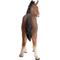 Show in main carousel: Hi-Line Gift Standing Horse Statue, 13.39-in slide 6 of 10
