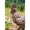 Show in main carousel: Hi-Line Gift Driftwood Standing Rooster Statue, 15.83-in slide 8 of 8