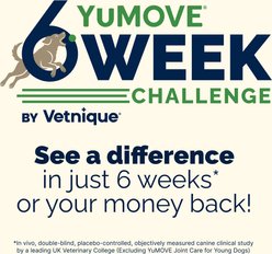 Vetnique Labs YuMOVE Mobility Hip & Joint Care Soft Chew Supplement for Small & Medium Dogs, 60 count slide 2 of 9