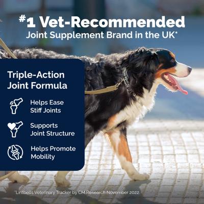 Show full view: Vetnique Labs YuMOVE Mobility Hip & Joint Care Soft Chew Supplement for Large & Giant Dogs, 120 count slide 7 of 11