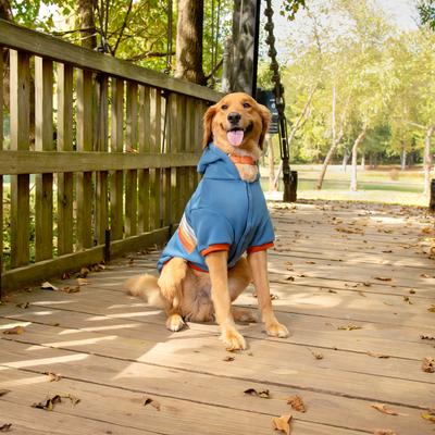 Show full view: Jeep Vintage Logo Dog Hoodie, Blue, Large, Hoodie slide 2 of 9