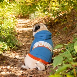 Jeep Vintage Logo Dog Hoodie, Blue, Medium, Hoodie