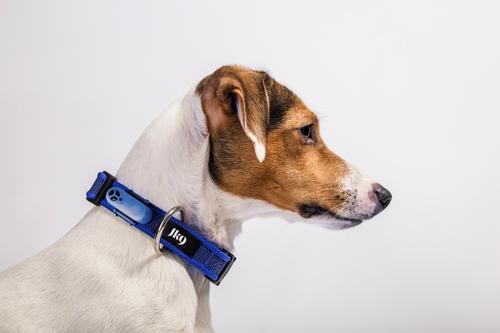 Show full view: Tickless & JK9 Anti Tick Outdoor Collar for Dogs & Cats slide 4 of 6