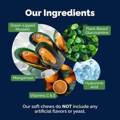 Show full view: Vetnique Labs YuMOVE Mobility Hip & Joint Care Soft Chew Supplement for Small & Medium Dogs, 60 count slide 8 of 11