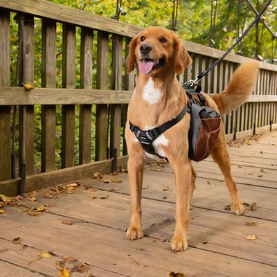 Show full view: Jeep Saddle Bag Nylon Dog Harness, Orange, Large: 24 to 35-in chest slide 2 of 6