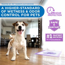 POOPH Unscented Dog Potty Pads, 24 x 24-in, 25 count slide 2 of 8