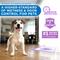 Show in main carousel: POOPH Unscented Dog Potty Pads, 24 x 24-in, 25 count slide 8 of 8