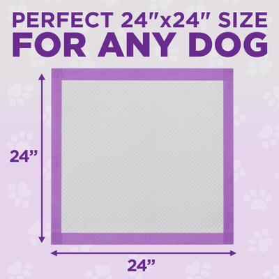 Show full view: POOPH Unscented Dog Potty Pads, 24 x 24-in, 25 count slide 6 of 8