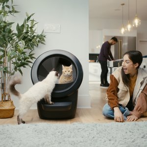 Whisker Litter-Robot 4 with Step & Core Accessories Kit Cat Litter Box, Black