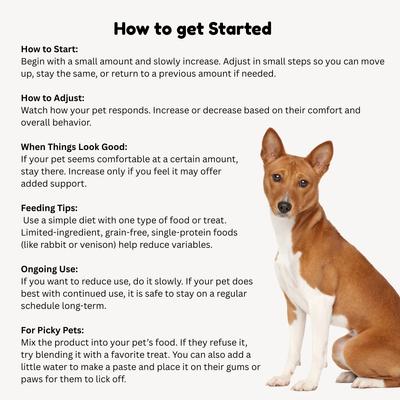 Show full view: Vitality Science Canine Comfort Beef Liver Formula Digestive Aid Powder Supplement for Dogs, 98 g slide 5 of 6