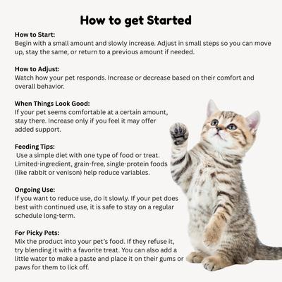 Show full view: Vitality Science Pet Flora Probiotic Supplement for Dogs & Cats, 250 Capsules slide 5 of 6