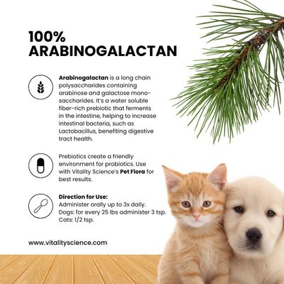 Show full view: Vitality Science Arabinogalactan Immune Support Powder Supplement for Dogs & Cats, 220-gr slide 4 of 6