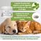 Show in main carousel: Vitality Science Feline Comfort Beef Liver Formula Powder Supplement for Cats, 60-gr slide 3 of 6