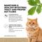 Show in main carousel: Vitality Science Feline Comfort Beef Liver Formula Powder Supplement for Cats, 60-gr slide 4 of 6