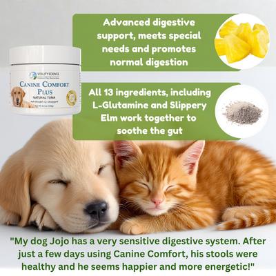 Show full view: Vitality Science Canine Comfort Plus Tuna Formula Digestive Aid Powder Supplement for Dogs, 60-gr slide 3 of 6