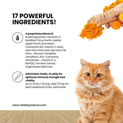 Show full view: Vitality Science Celloquent Gold Multi-Nutrient Immune Support Powder Supplement for Cats, 60-gr slide 4 of 6